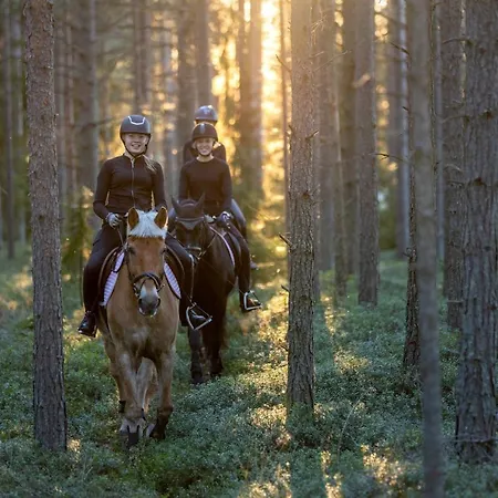 Meritaehti 20 For 10 Person Services Near Incl Ac, Hot Tub 1 Fill Per Casa de Férias Kalajoki